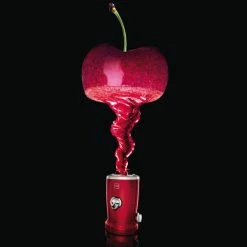 Nouveau 🔥 Novis VitaJuicer Cherry - Centrifugeuse ⋅ Presse-agrumes 🤩 -Gastroback Shop unnamed file 831