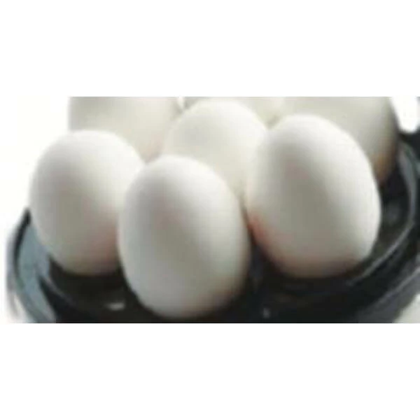 Acheter 🎁 Solis Egg Boiler More - Cuiseur à Oeufs ❤️ 2 Acheter 🎁 Solis Egg Boiler More - Cuiseur à Oeufs ❤️ – Image 2