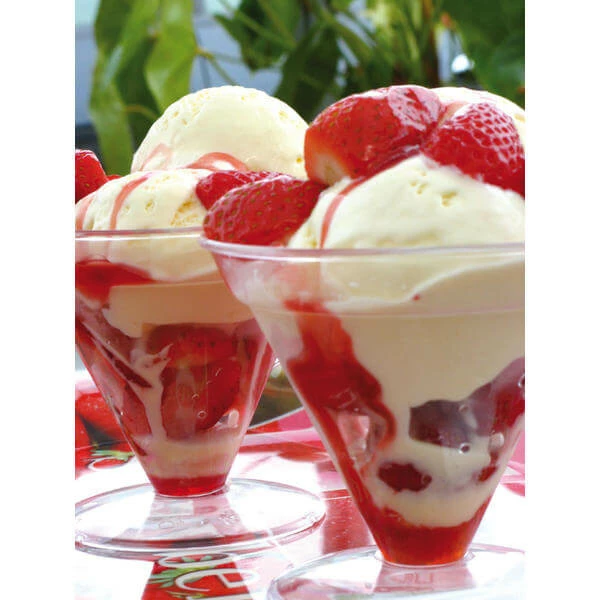 Bon marché 🧨 NEMOX Gelato Vanity - Sorbetière 🥰 2 Bon marché 🧨 NEMOX Gelato Vanity - Sorbetière 🥰 – Image 2